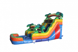 16' Tropical Palm Slide XL